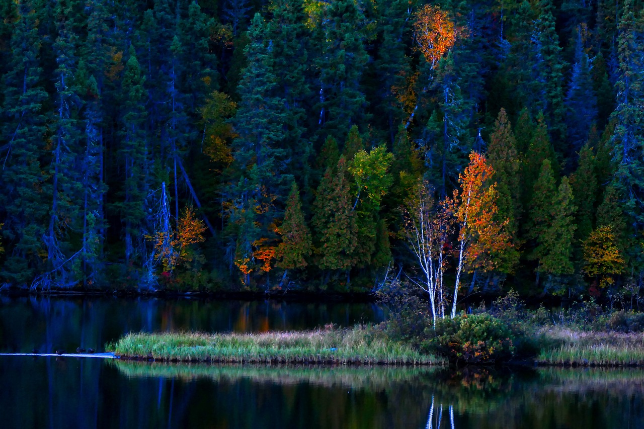 A Green Vista: The Integral Role of Biodiversity in Scenic Landscapes